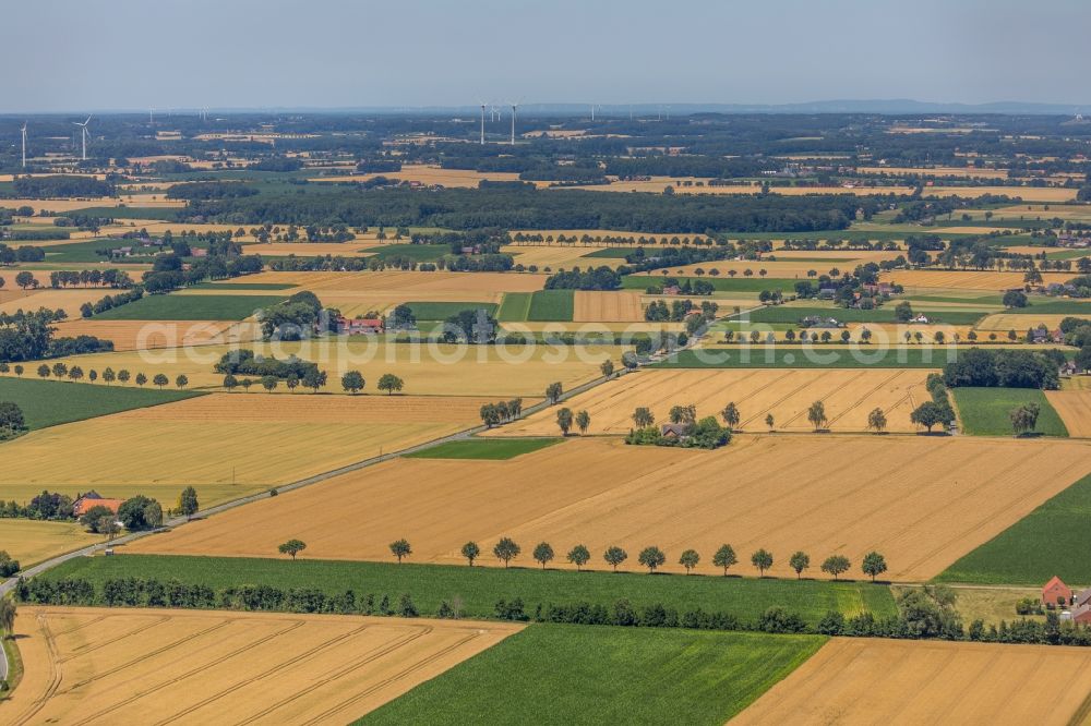 Wadersloh from the bird's eye view: Structures on agricultural fields along the Goettinger Breede in Wadersloh in the state North Rhine-Westphalia, Germany