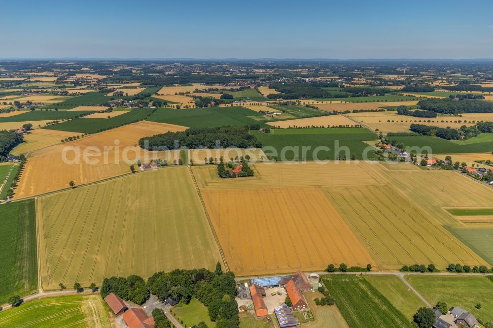 Aerial image Wadersloh - Structures on agricultural fields in Wadersloh in the state North Rhine-Westphalia, Germany