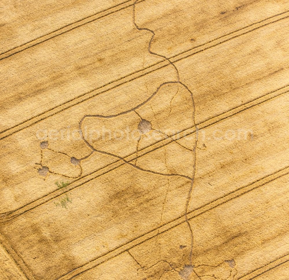 Aerial photograph Warstein - Structures on agricultural fields in Warstein in the state North Rhine-Westphalia