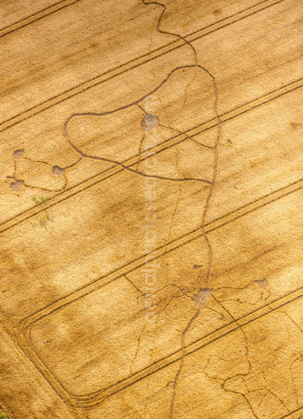 Warstein from above - Structures on agricultural fields in Warstein in the state North Rhine-Westphalia