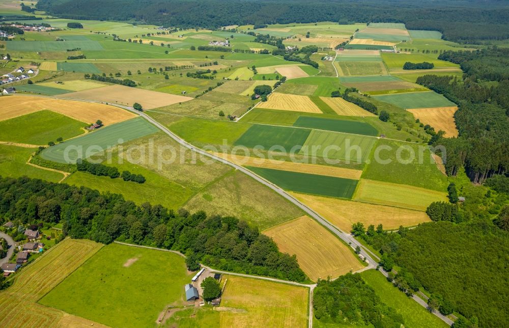 Aerial photograph Warstein - Structures on agricultural fields in Warstein in the state North Rhine-Westphalia, Germany