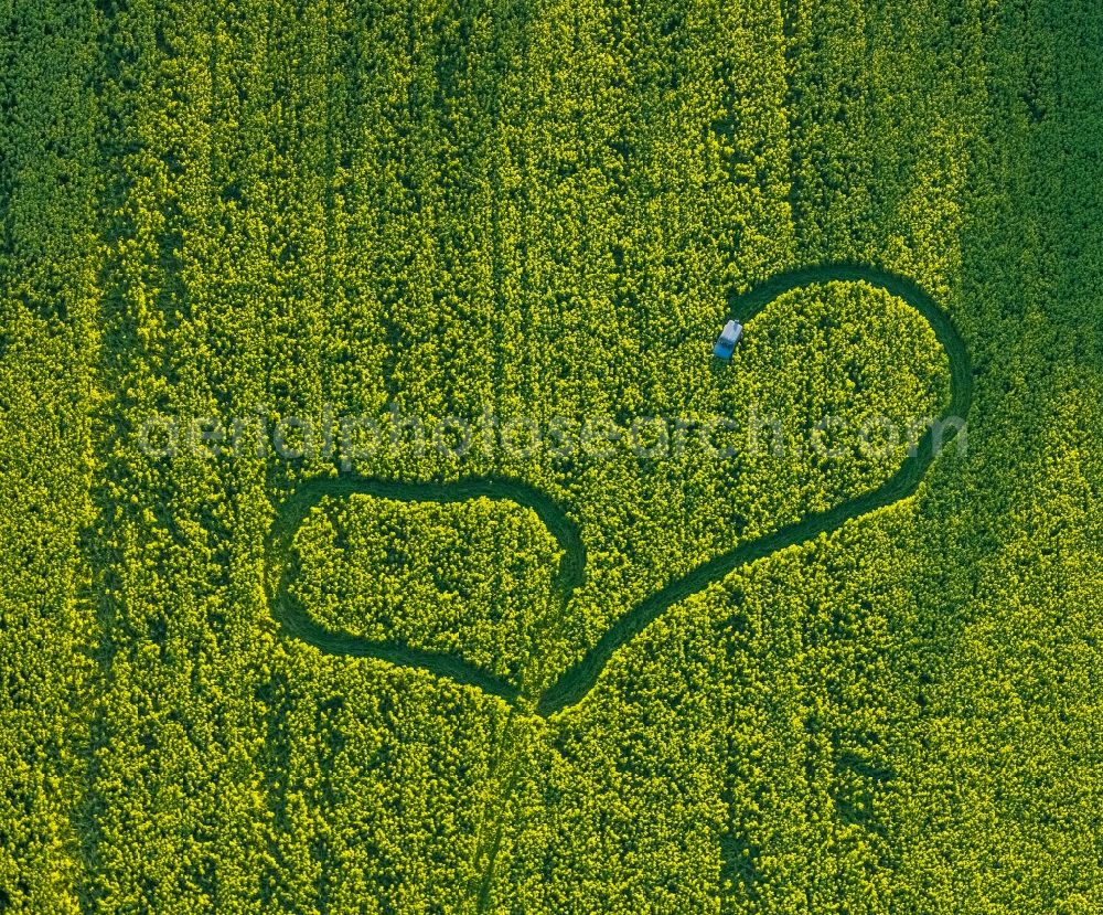 Welver from above - Structures on agricultural fields in Welver in the state North Rhine-Westphalia, Germany