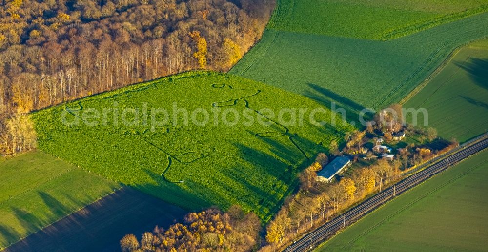 Welver from the bird's eye view: Structures on agricultural fields in Welver in the state North Rhine-Westphalia, Germany