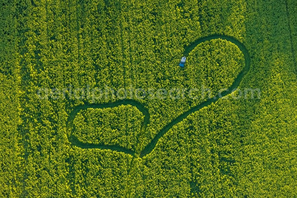 Aerial image Welver - Structures on agricultural fields in Welver in the state North Rhine-Westphalia, Germany