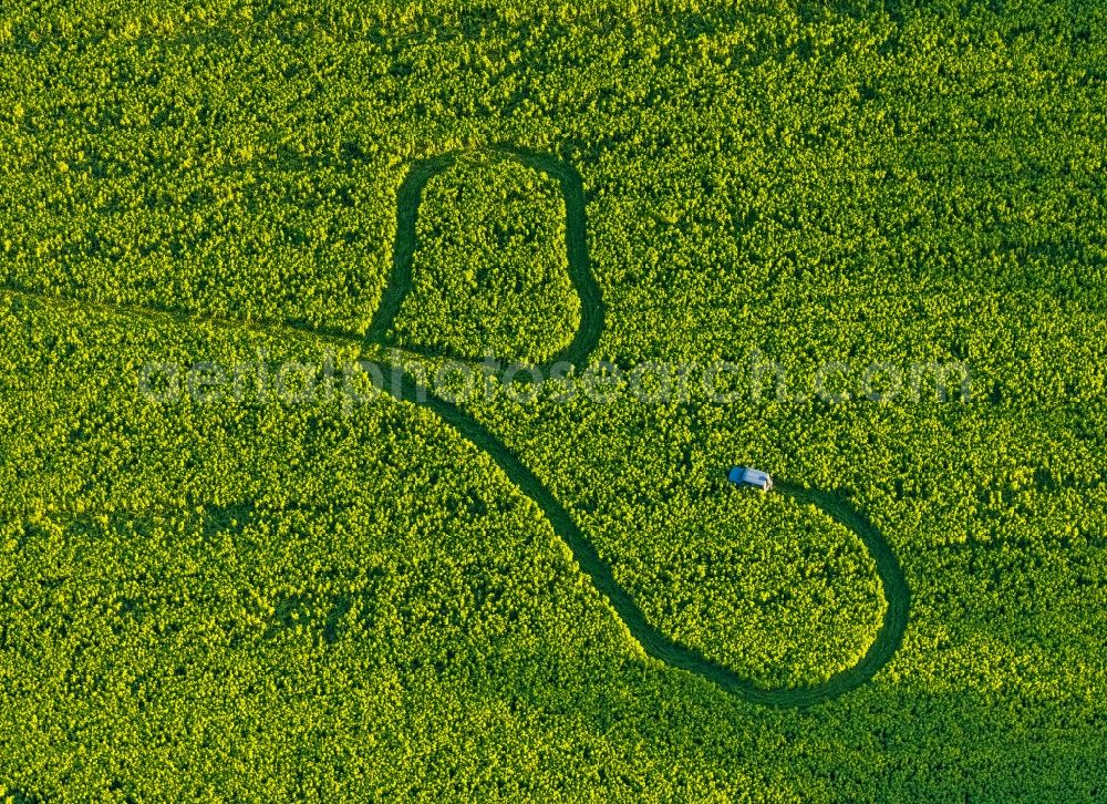 Aerial photograph Welver - Structures on agricultural fields in Welver in the state North Rhine-Westphalia, Germany