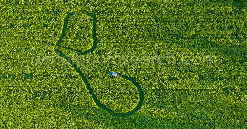 Welver from above - Structures on agricultural fields in Welver in the state North Rhine-Westphalia, Germany