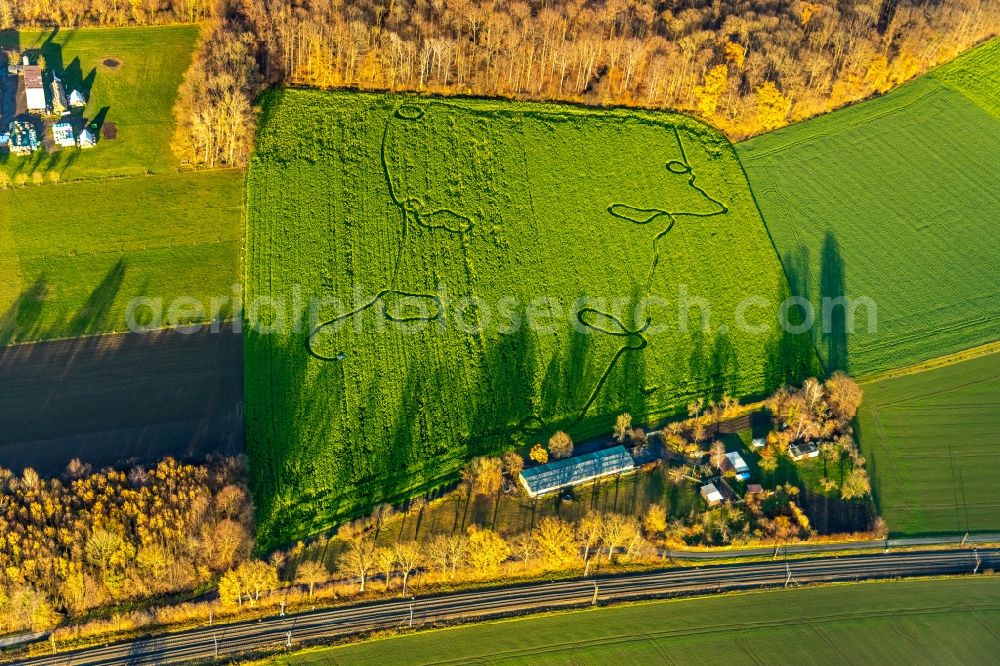 Welver from the bird's eye view: Structures on agricultural fields in Welver in the state North Rhine-Westphalia, Germany