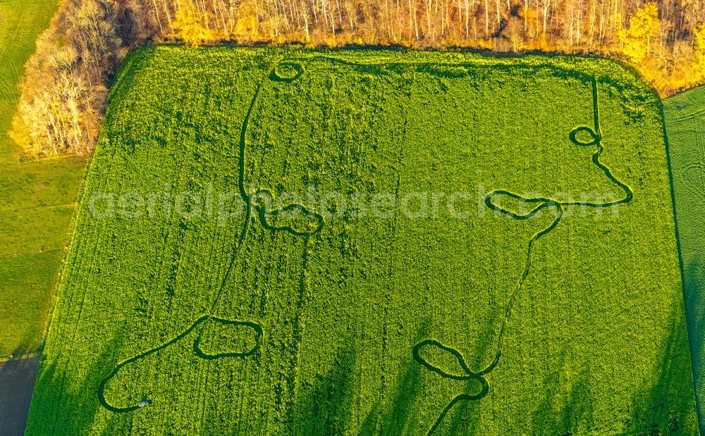 Aerial image Welver - Structures on agricultural fields in Welver in the state North Rhine-Westphalia, Germany