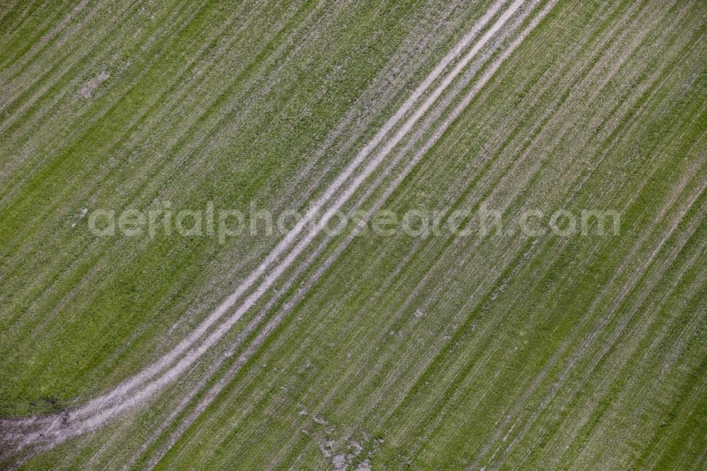 Aerial image Werneuchen - Structures on agricultural fields in Werneuchen in the state Brandenburg