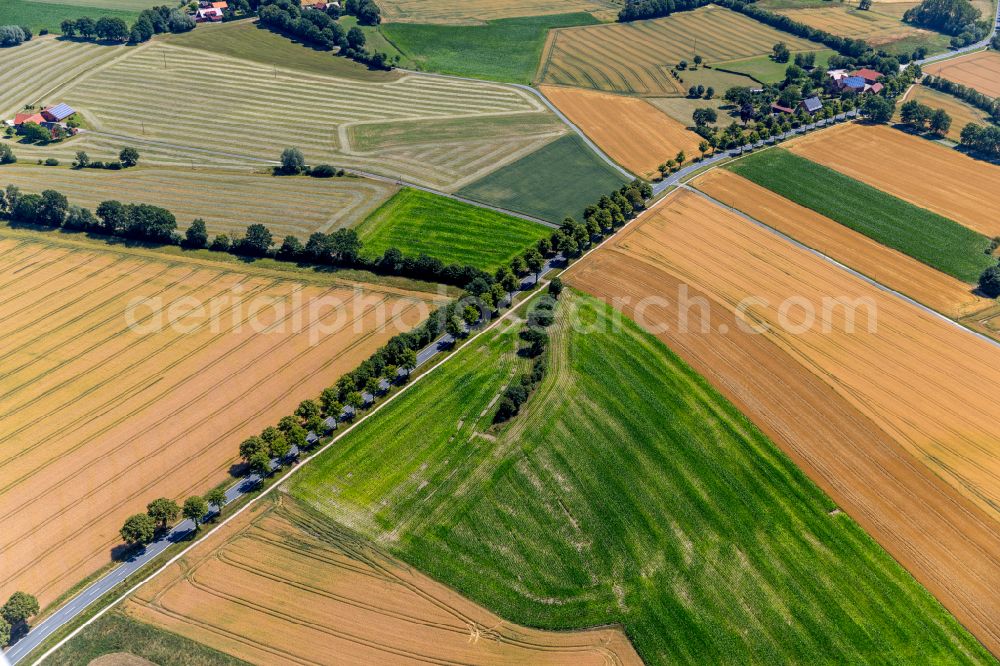 Aerial image Westkirchen - Structures on agricultural fields in Westkirchen in the state North Rhine-Westphalia, Germany