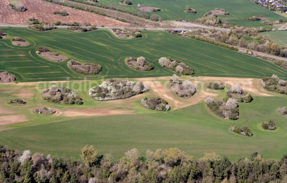 Aerial photograph Wimmelburg - Structures on agricultural fields in Wimmelburg in the state Saxony-Anhalt