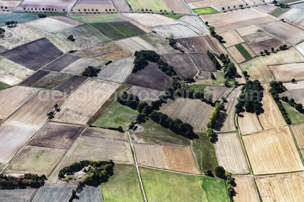 Aerial photograph Zella - Structures on agricultural fields in Zella in the state Hesse, Germany