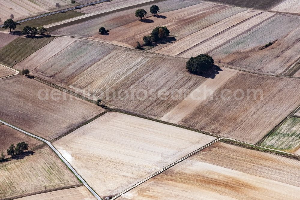 Zella from above - Structures on agricultural fields in Zella in the state Hesse, Germany