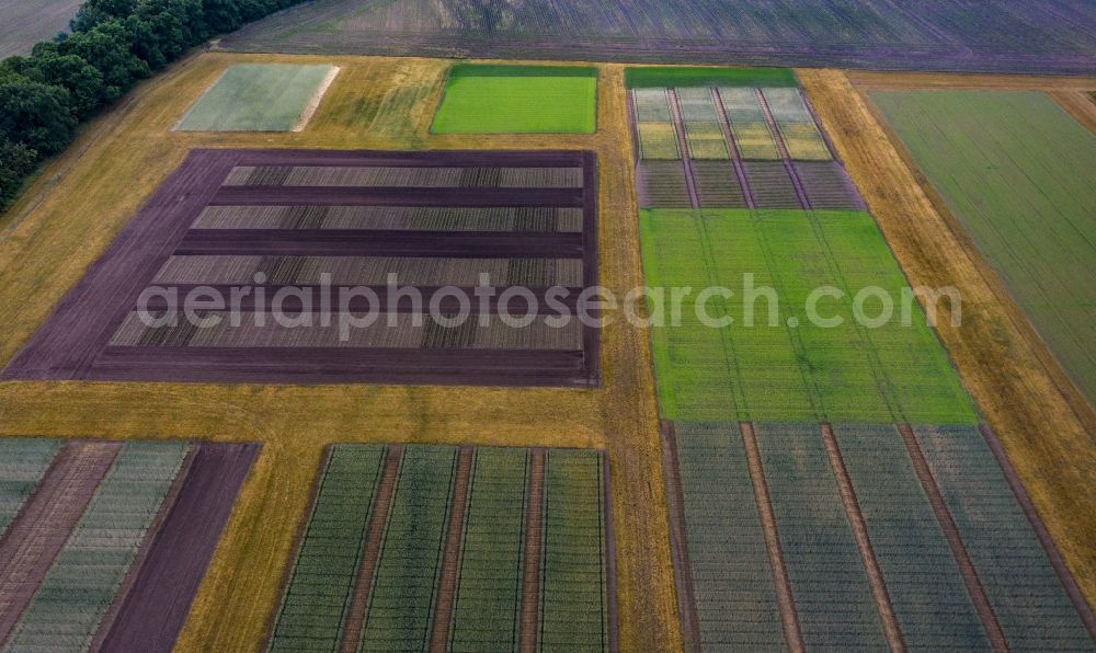 Aerial image Paulinenaue - Structures on agricultural test fields and test series Zentrum fuer Agrarlandschafts- u. Landnutzungsforschung e.V. in Paulinenaue in the state Brandenburg, Germany