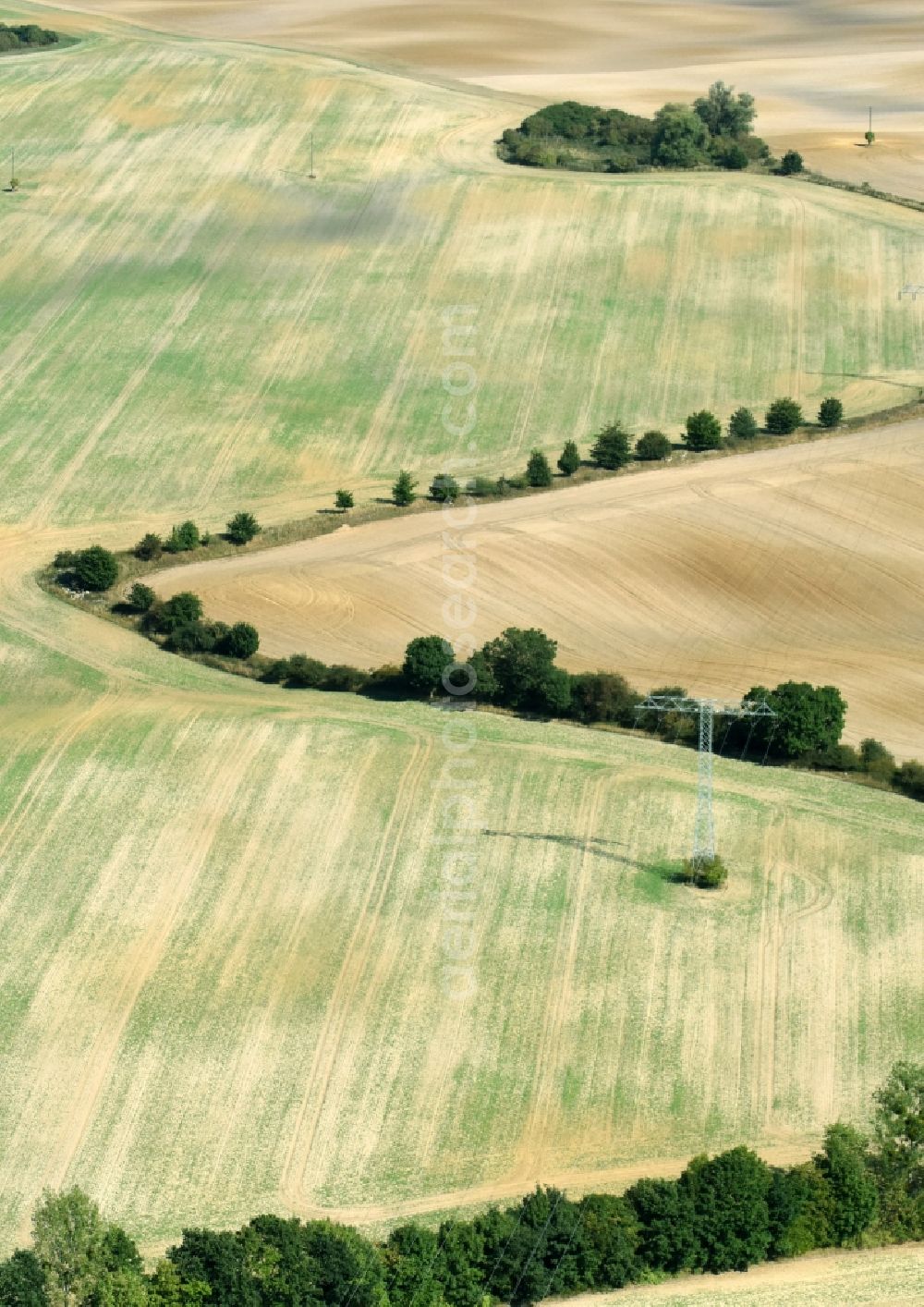 Aerial photograph Boitzenburger Land - Structures on agricultural fields in Boitzenburger Land in the state Brandenburg