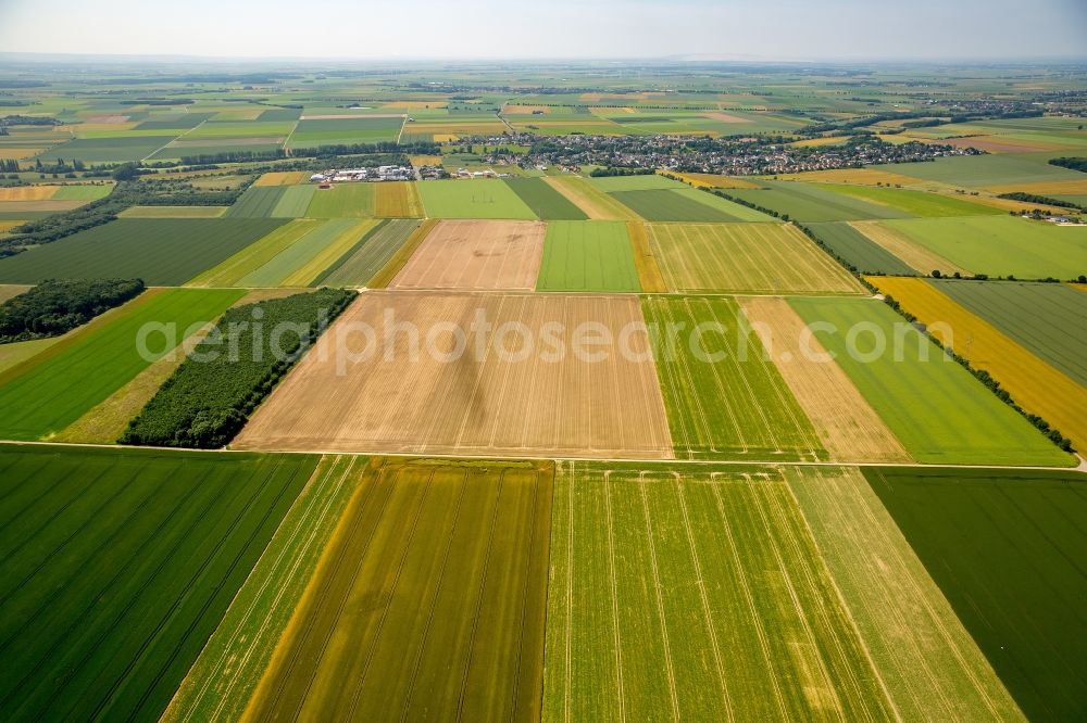 Zülpich from above - Structures on agricultural fields in Zuelpich in the state North Rhine-Westphalia