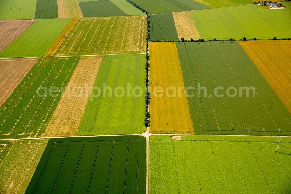 Aerial image Zülpich - Structures on agricultural fields in Zuelpich in the state North Rhine-Westphalia