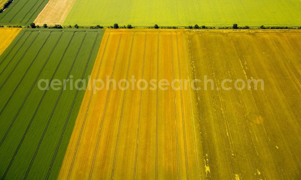 Aerial photograph Zülpich - Structures on agricultural fields in Zuelpich in the state North Rhine-Westphalia