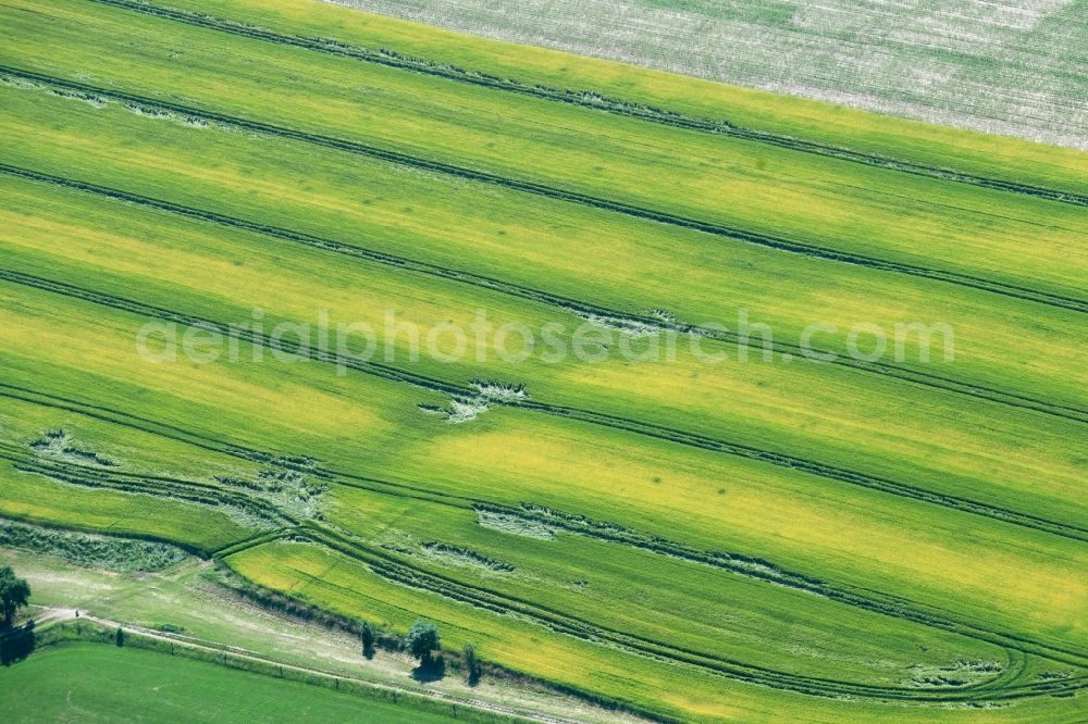 Zschippach from the bird's eye view: Structures on agricultural fields in Zschippach in the state Thuringia, Germany