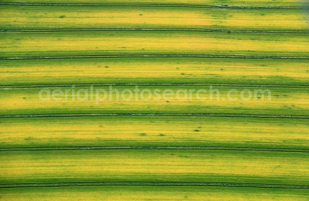 Aerial image Zschippach - Structures on agricultural fields in Zschippach in the state Thuringia, Germany