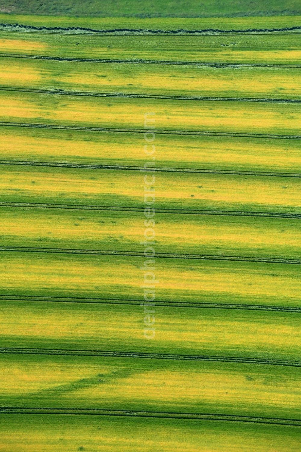 Aerial photograph Zschippach - Structures on agricultural fields in Zschippach in the state Thuringia, Germany