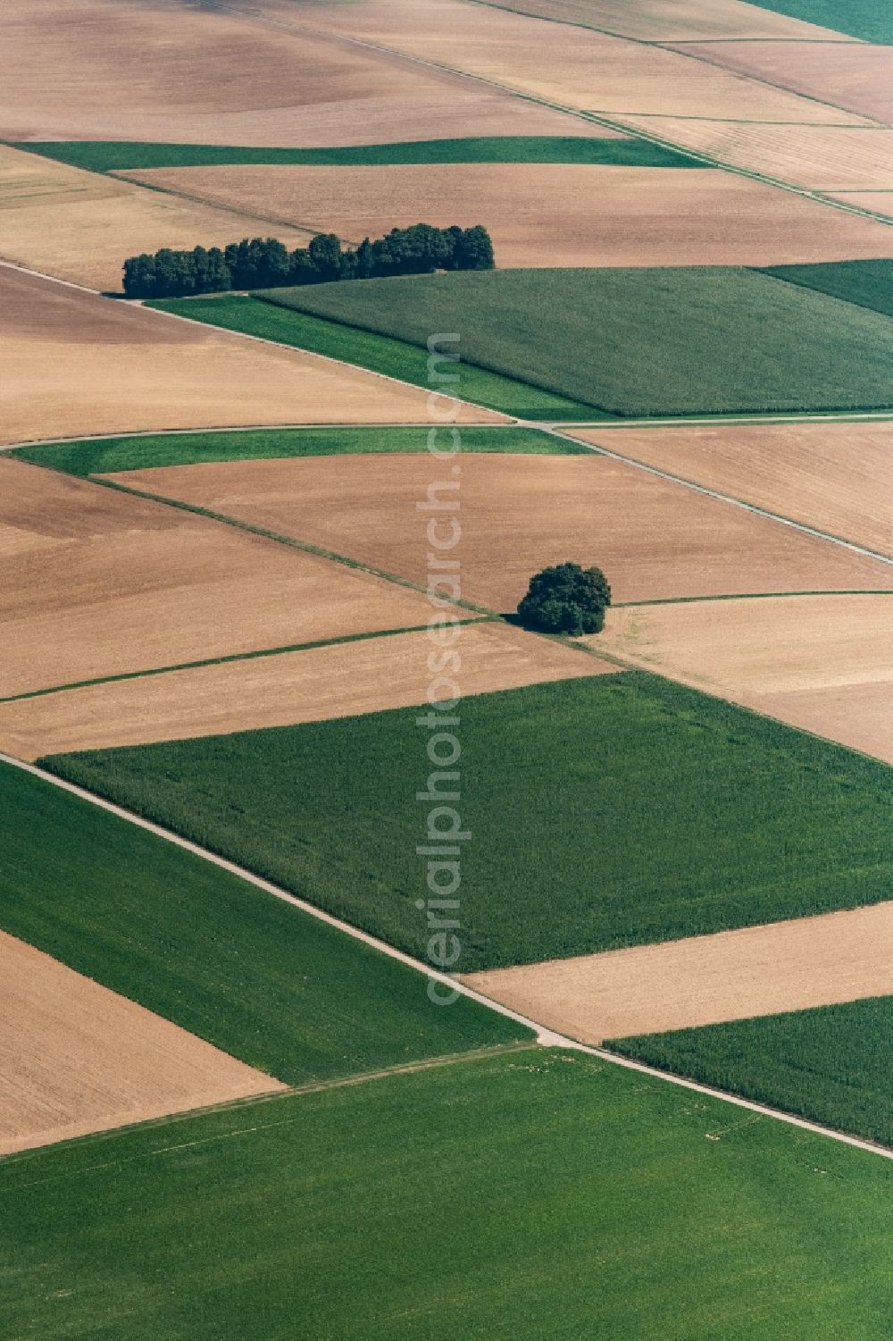 Aerial image Dillingen an der Donau - Structures on agricultural fields in Zusamaltheim in the state Bavaria, Germany