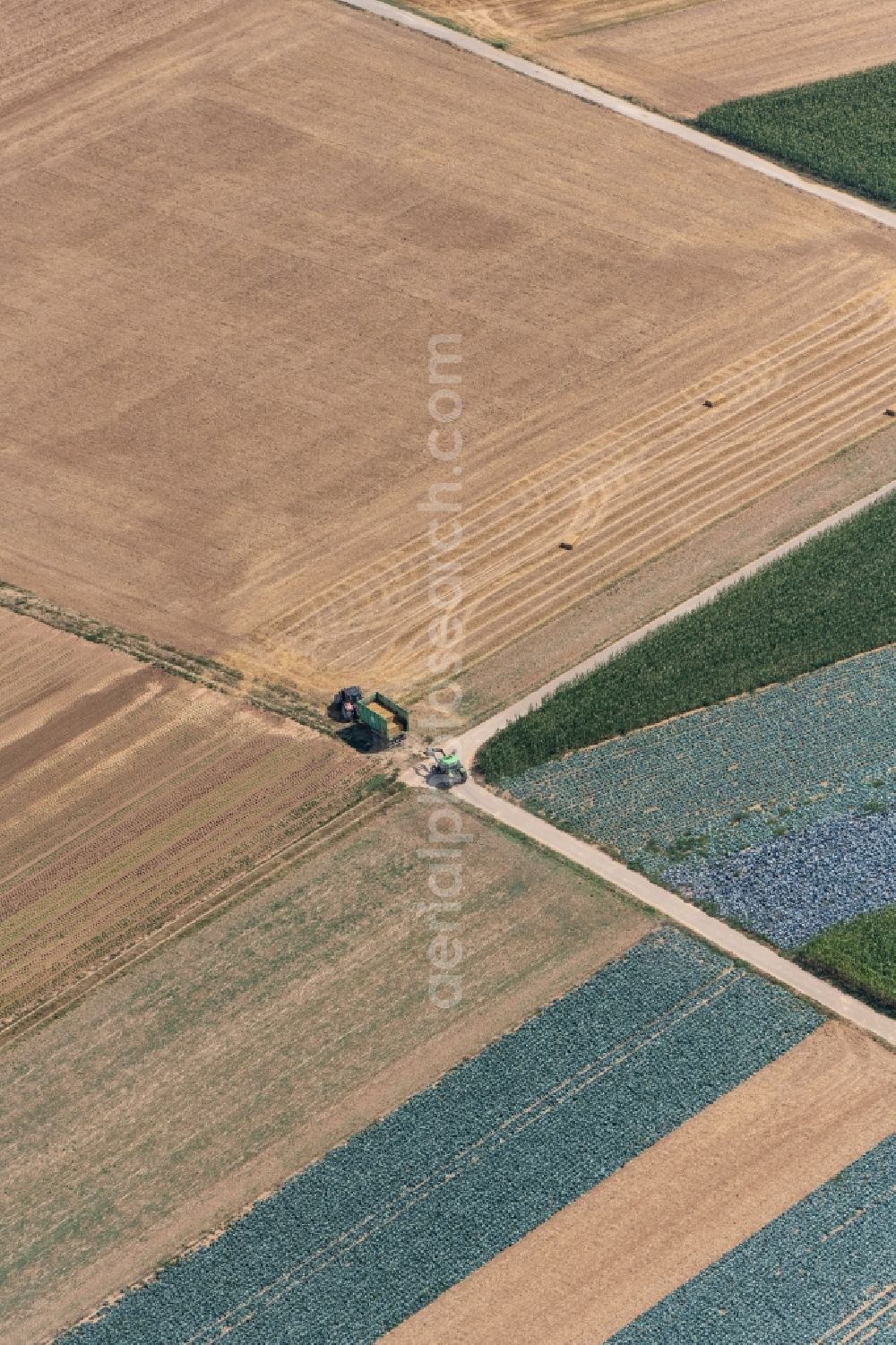 Aerial photograph Dillingen an der Donau - Structures on agricultural fields in Zusamaltheim in the state Bavaria, Germany