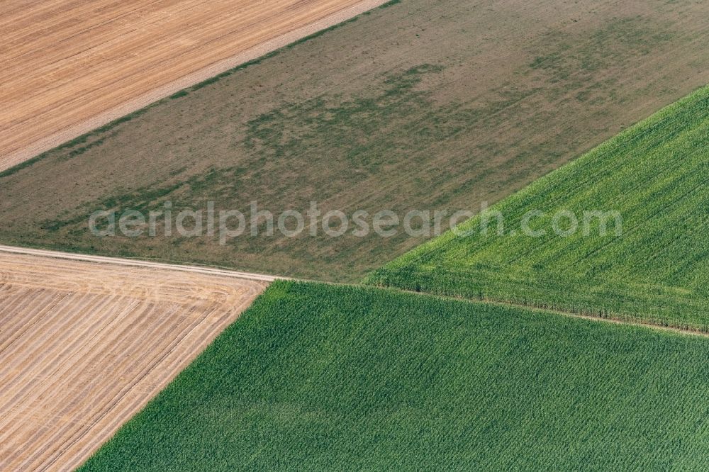 Dillingen an der Donau from above - Structures on agricultural fields in Zusamaltheim in the state Bavaria, Germany