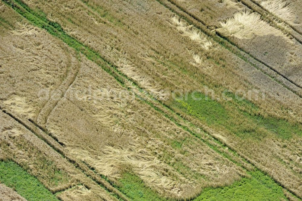 Groß Gievitz from above - Sturmschäden durch Windeinfluss an einem Getreidefeld in der Nähe von Groß Gievitz, Mecklenburg-Vorpommern. Storm damage, caused by wind forces, to a cornfield near the town Gross Gievitz, Mecklenburg-Western Pomerania.