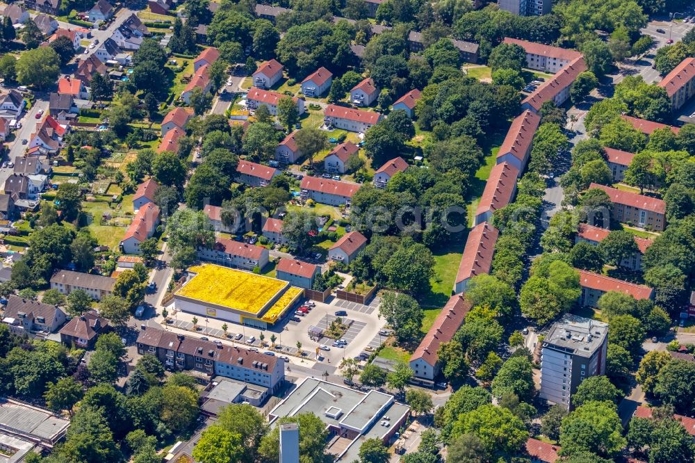 Aerial photograph Gelsenkirchen - Store of the Supermarket of Netto Marken-Discount AG & Co. KG on Bussmannstrasse in the district Hassel in Gelsenkirchen in the state North Rhine-Westphalia, Germany