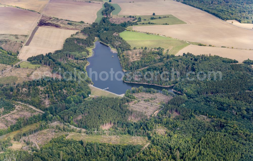 Harzgerode from the bird's eye view: Dam and shore areas at the lake Teufelsteich in Harzgerode in the state Saxony-Anhalt, Germany