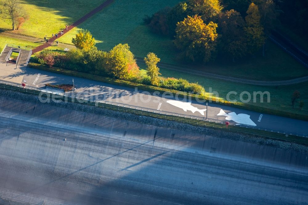 Aerial photograph Meschede - Dam with fish drawings at the Dam and shore areas at the lake Hennesee in Meschede in the state North Rhine-Westphalia