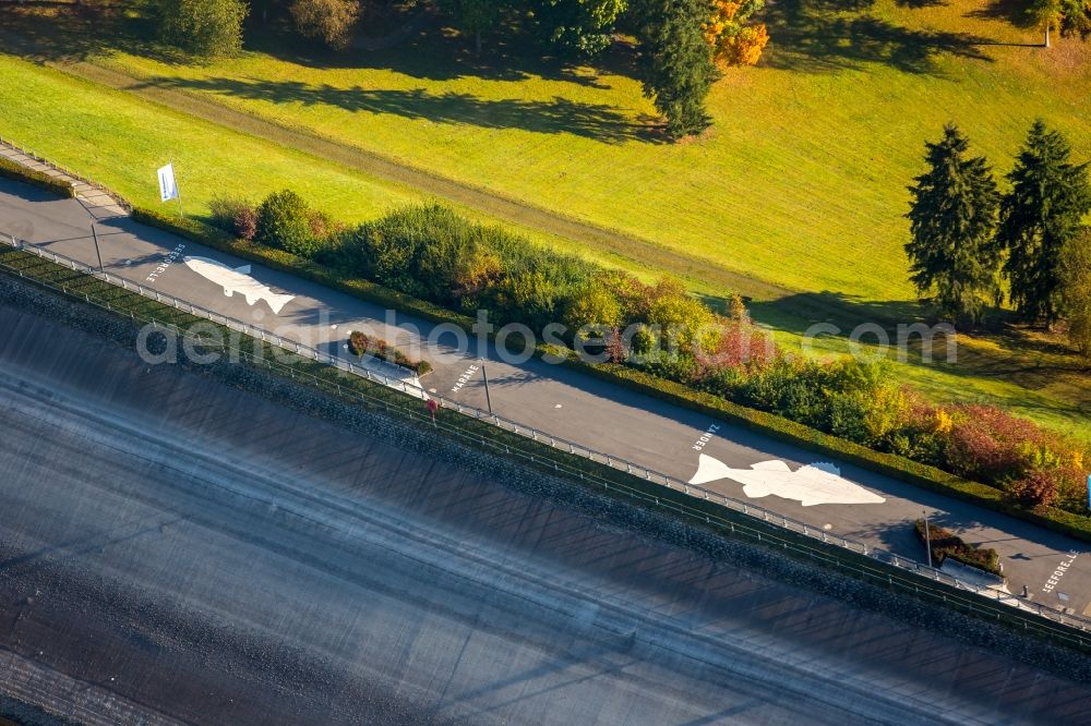 Meschede from above - Dam with fish drawings at the Dam and shore areas at the lake Hennesee in Meschede in the state North Rhine-Westphalia