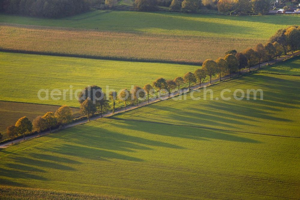 Herten from the bird's eye view: View of the avenue Talweg in Herten in the state North Rhine-Westphalia