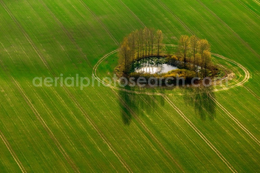 Stavenhagen from the bird's eye view: View of a pond near Stavenhagen in the state Mecklenburg-West Pomerania