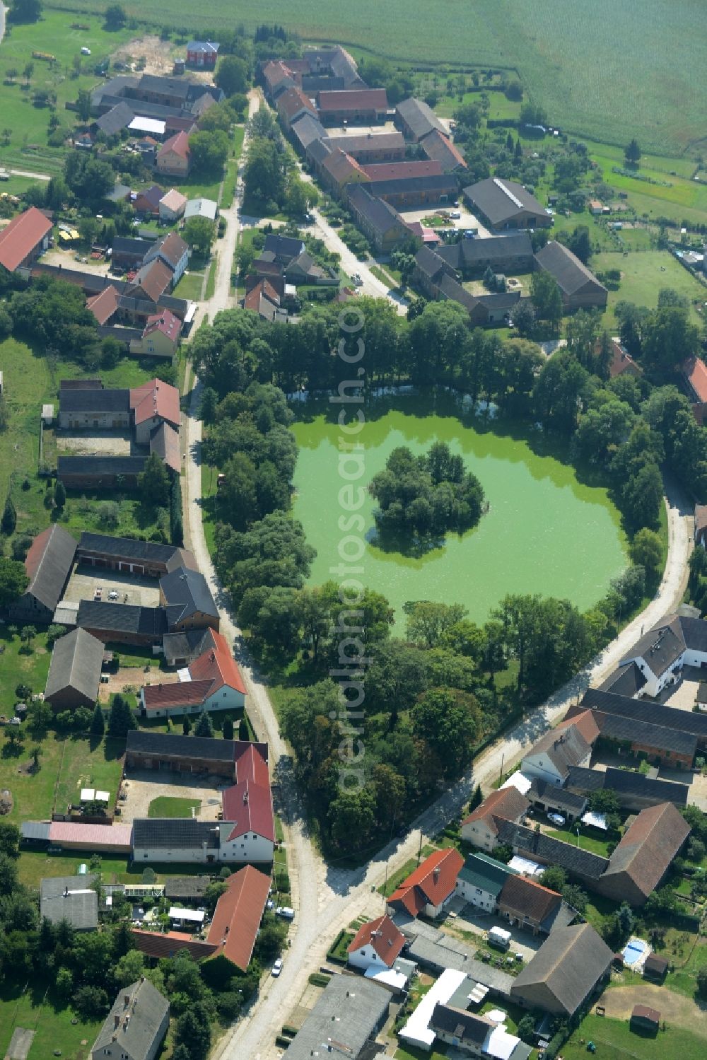 Borgisdorf from the bird's eye view: Pond in the centre of the village of Borgisdorf in the state of Brandenburg. The pond with its small island is located in the centre of the village in the county district of Teltow-Flaeming