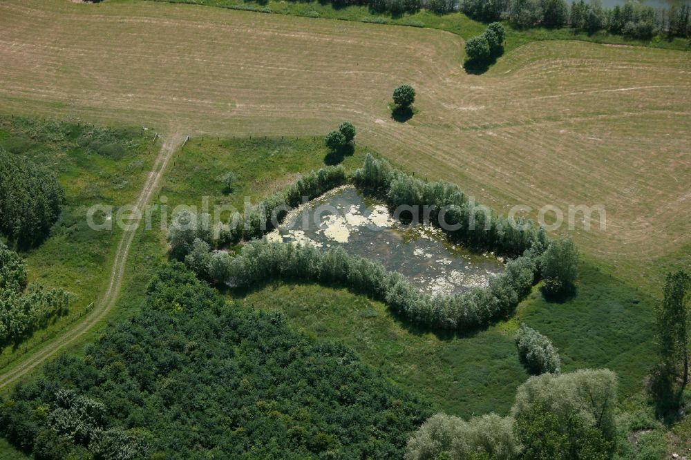 Aerial image Hamm - View of a pond in Hamm in the state North Rhine-Westphalia