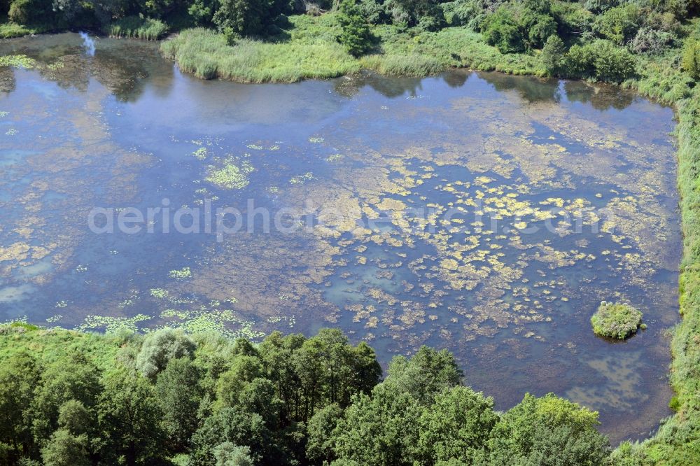 Aerial image Lebus - Pool in Lebus in the state Brandenburg