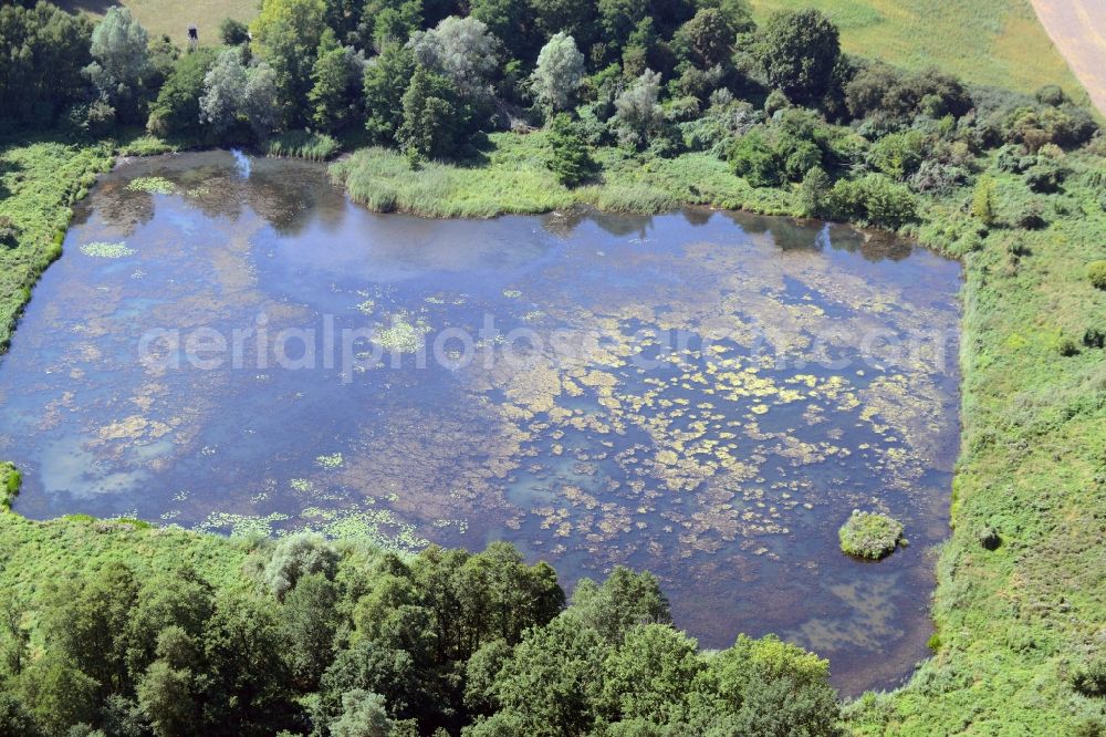 Aerial photograph Lebus - Pool in Lebus in the state Brandenburg