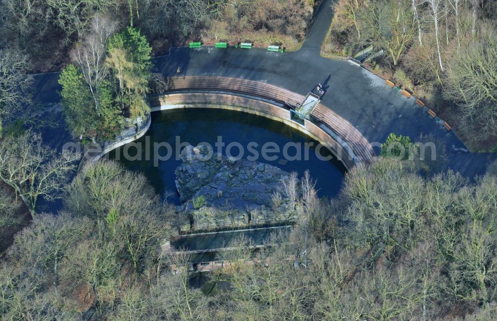 Berlin from the bird's eye view: Bear enclosure with a pond on Bärenschaufenster the zoo in the district of Lichtenberg in Berlin