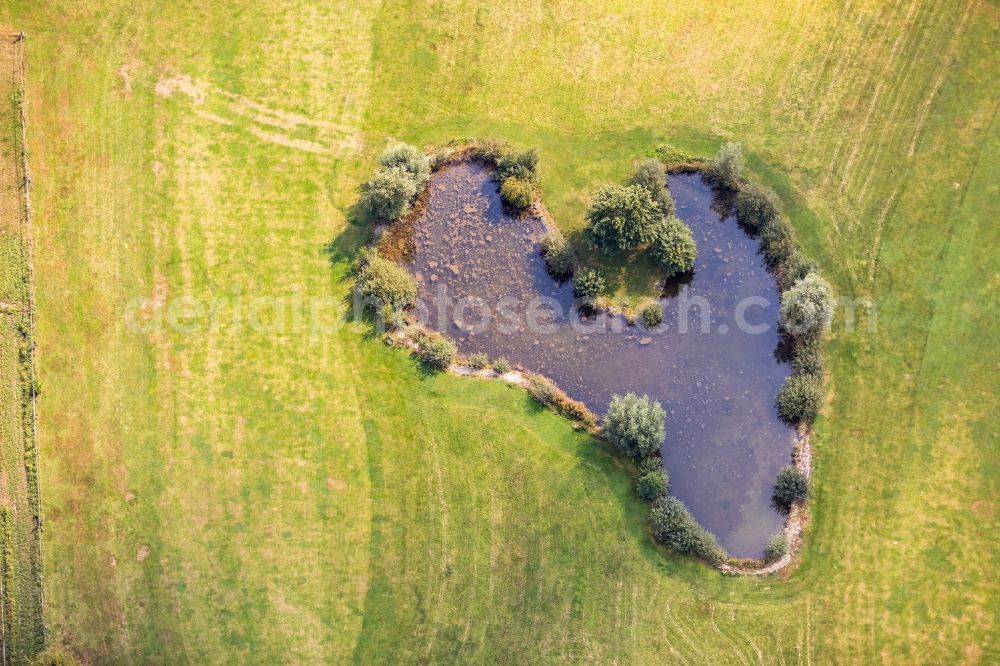 Aerial photograph Emmerich am Rhein - Pond in Emmerich am Rhein in the state North Rhine-Westphalia, Germany