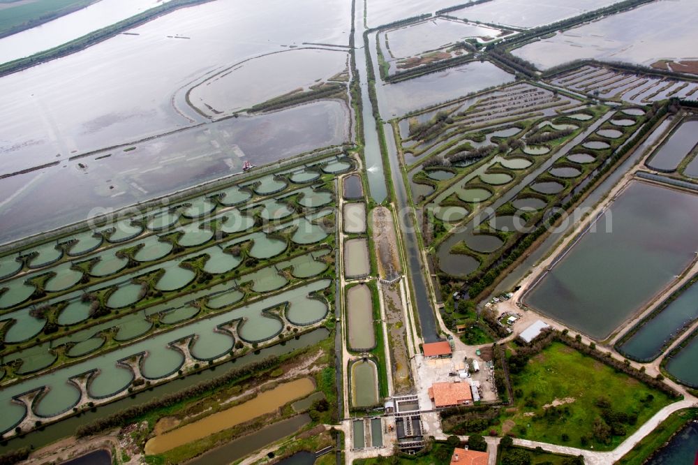 Aerial image Porto Tolle - Ponds for fish farming at the delta mouth of the river Po in Porto Tolle in Veneto, Italy