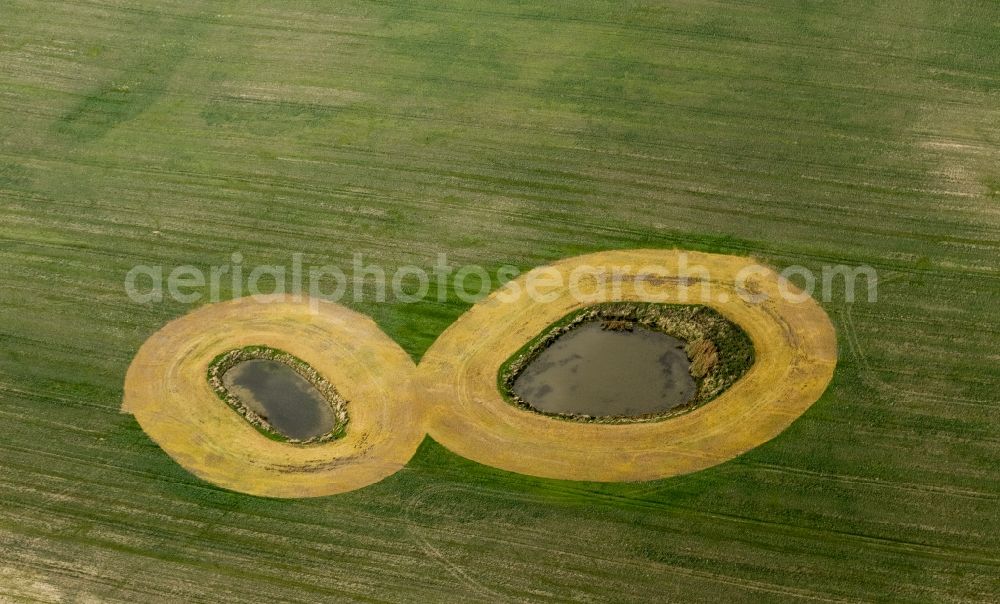 Aerial photograph Lelkendorf - Ponds on a field scenery near Lelkendorf in the state Mecklenburg-Western Pomerania. The area around the ponds is gathered