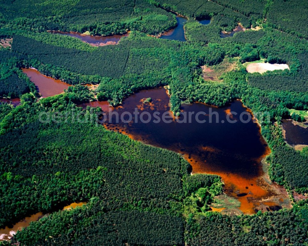 Weißwasser/Oberlausitz from the bird's eye view: Ponds and landscape in Weißwasser in the state of Saxony. The area is within the city limits of the district town. It belongs to the lake region of Lausitz which is an artificial water landscape, created through the flooding of former brown coal mines