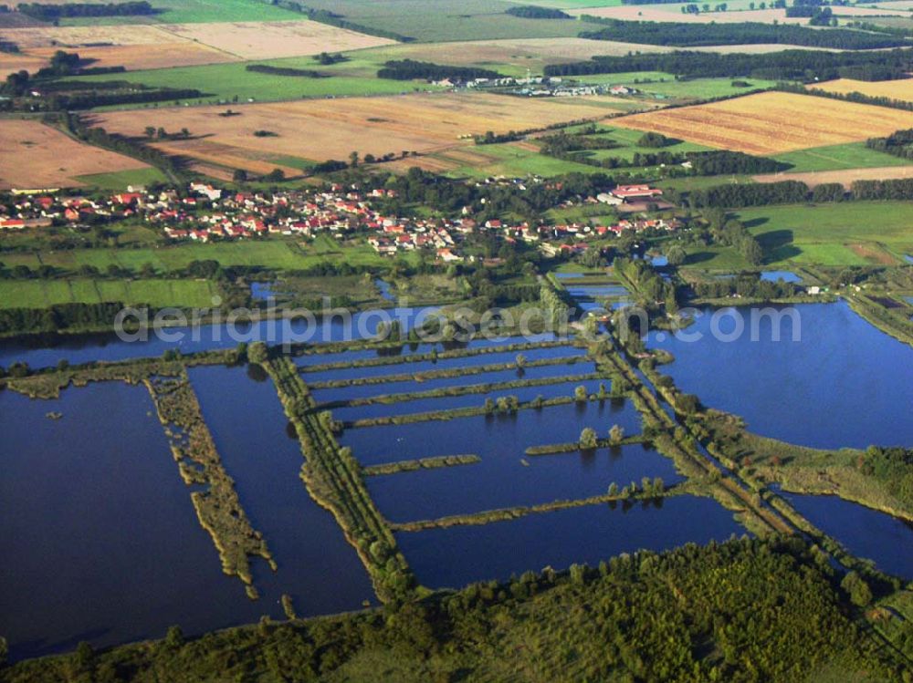 Aerial image Linum (Brandenburg) - Blick auf das Teichland Linum im Land Brandenburg nordwestlich von Berlin. Die 400 ha große Teichlandschaft ist die Heimat zahlreicher Tier- und Pflanzenarten. Ebenso ist ein ökologischer Fischereibetrieb ansässig. Teichland Linum, Zu den Teichen 58, 16833 Linum, Telefon 033922 / 50408, Fax 033922 / 50504, mail: Teichland@BerLinum.de