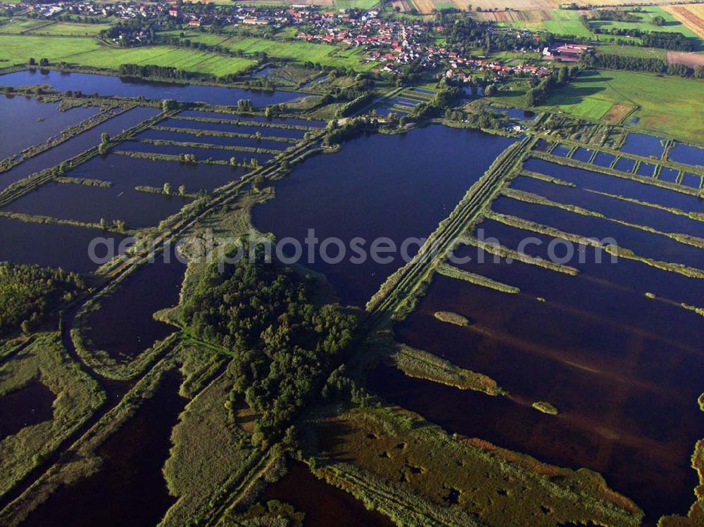 Aerial image Linum (Brandenburg) - Blick auf das Teichland Linum im Land Brandenburg nordwestlich von Berlin. Die 400 ha große Teichlandschaft ist die Heimat zahlreicher Tier- und Pflanzenarten. Ebenso ist ein ökologischer Fischereibetrieb ansässig. Teichland Linum, Zu den Teichen 58, 16833 Linum, Telefon 033922 / 50408, Fax 033922 / 50504, mail: Teichland@BerLinum.de