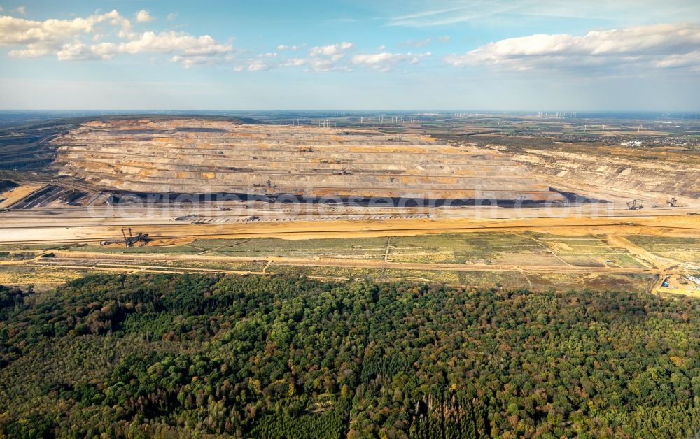 Hambach from above - Participant of a political protest demonstration against the clearing of the forest Hambacher Forst in Hambach in the state North Rhine-Westphalia, Germany