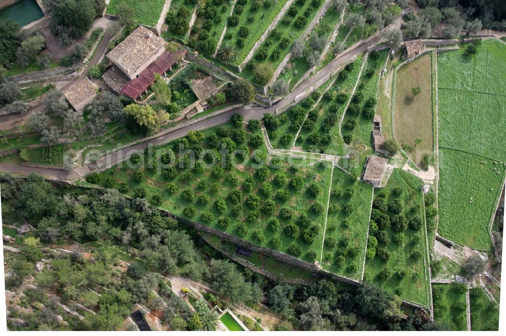 Aerial image Fornalutx - Terrace-shaped houses and orchards in Fornalutx on the Balearic Islands in Spain