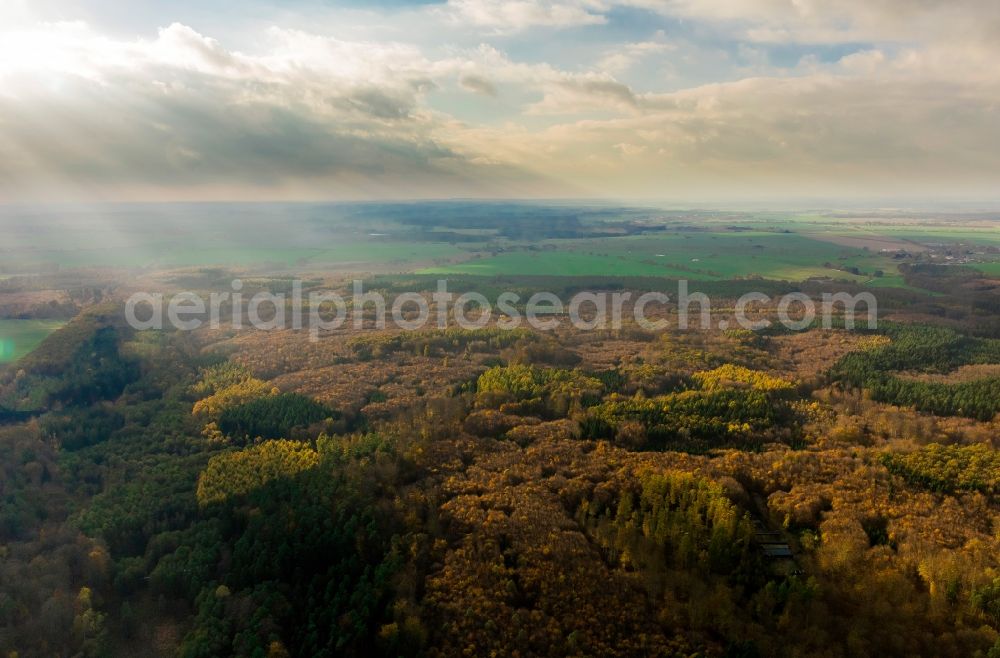 Dargun from the bird's eye view: View of the Tiergarden in autumn near Dargun in the state Mecklenburg-West Pomerania