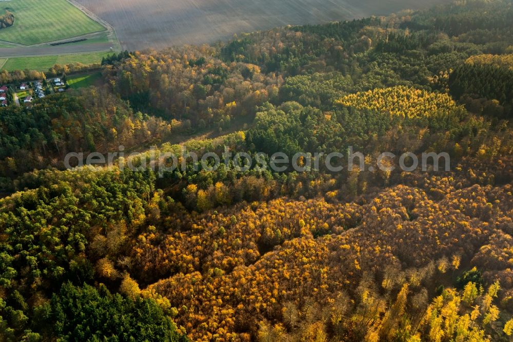 Aerial image Dargun - View of the Tiergarden in autumn near Dargun in the state Mecklenburg-West Pomerania